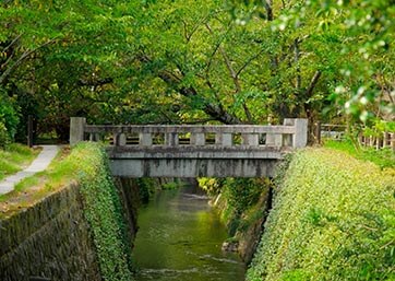 哲学の道